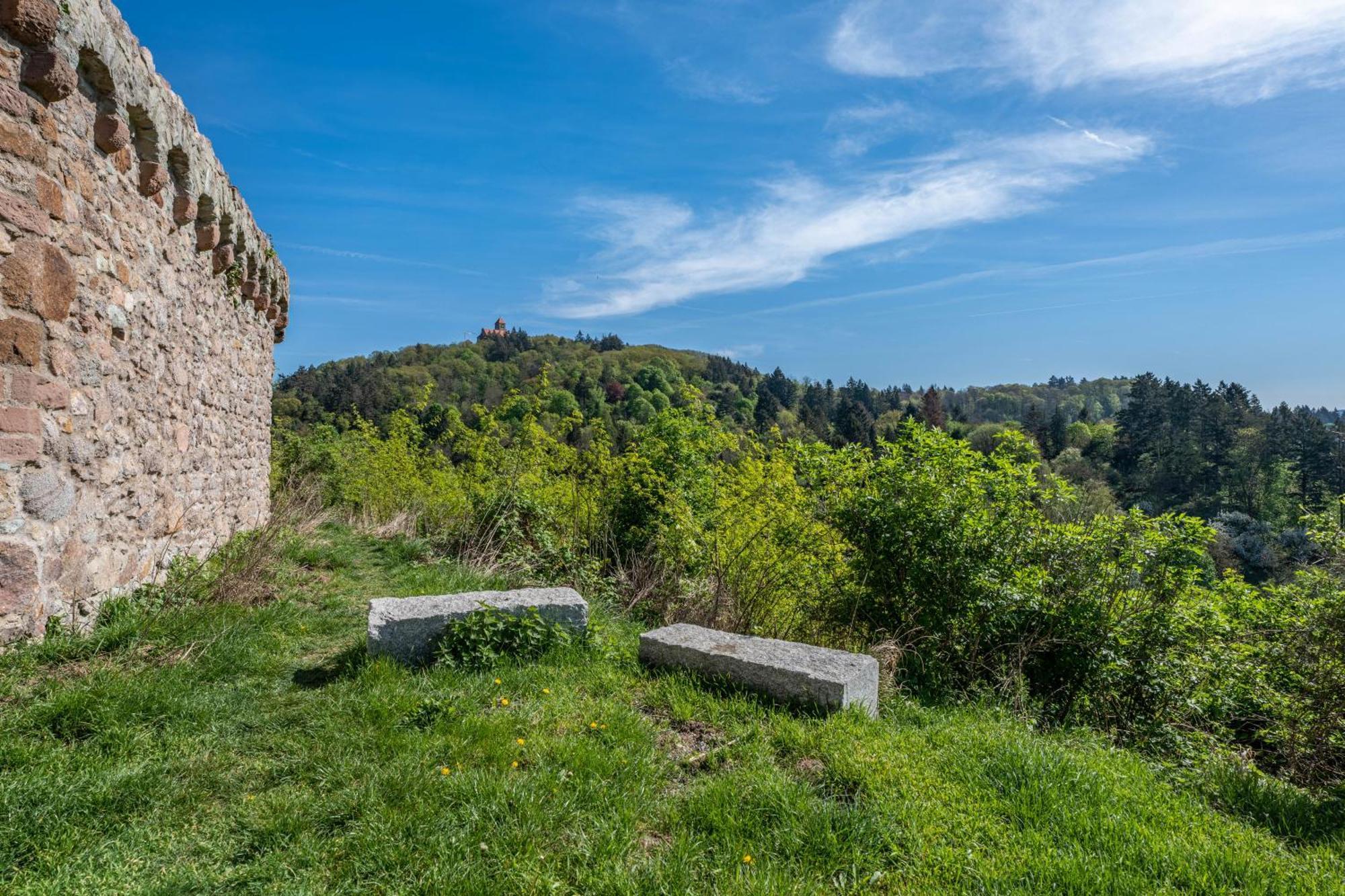 Ferienwohnung Drachenstein Weinheim Buitenkant foto