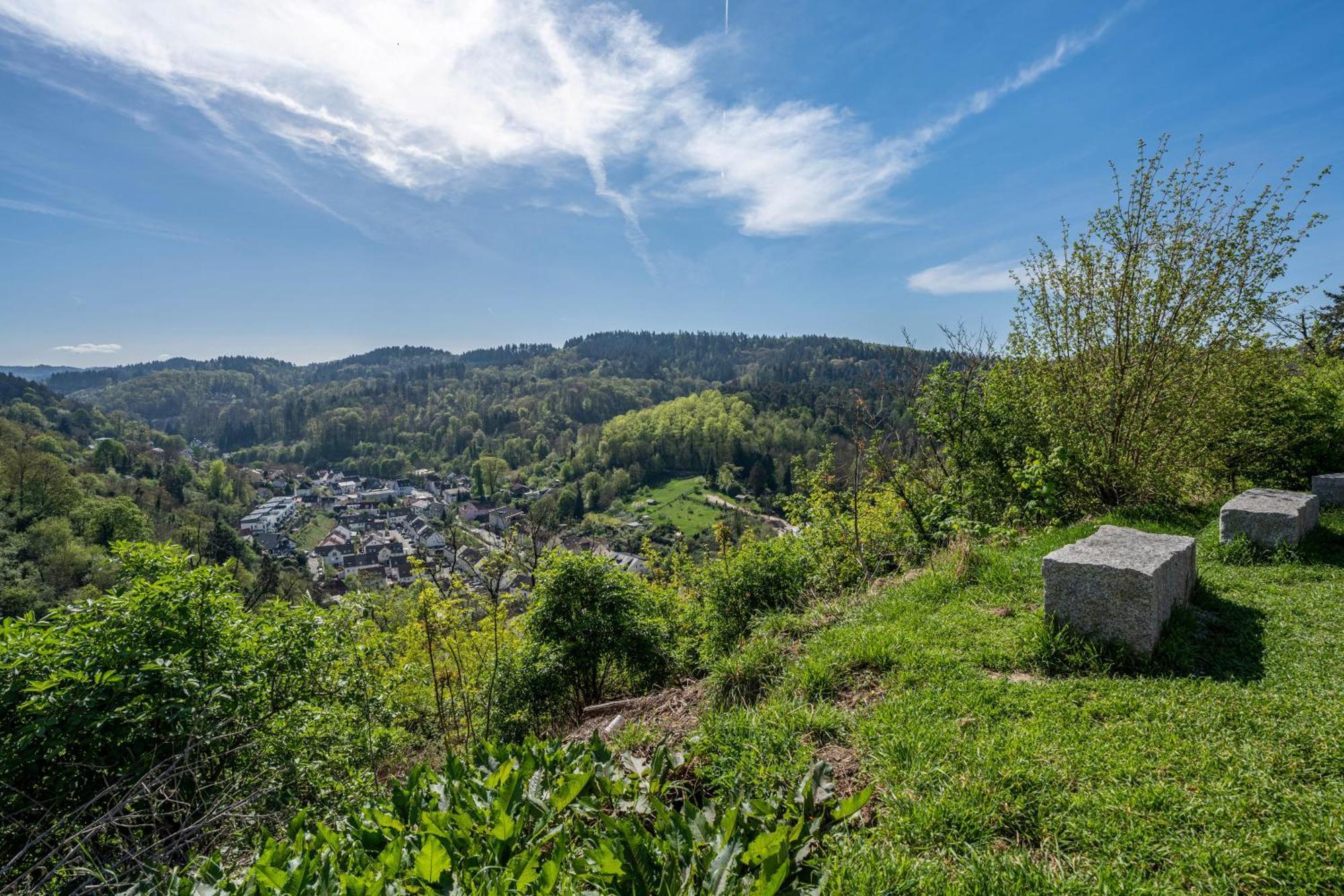 Ferienwohnung Drachenstein Weinheim Buitenkant foto