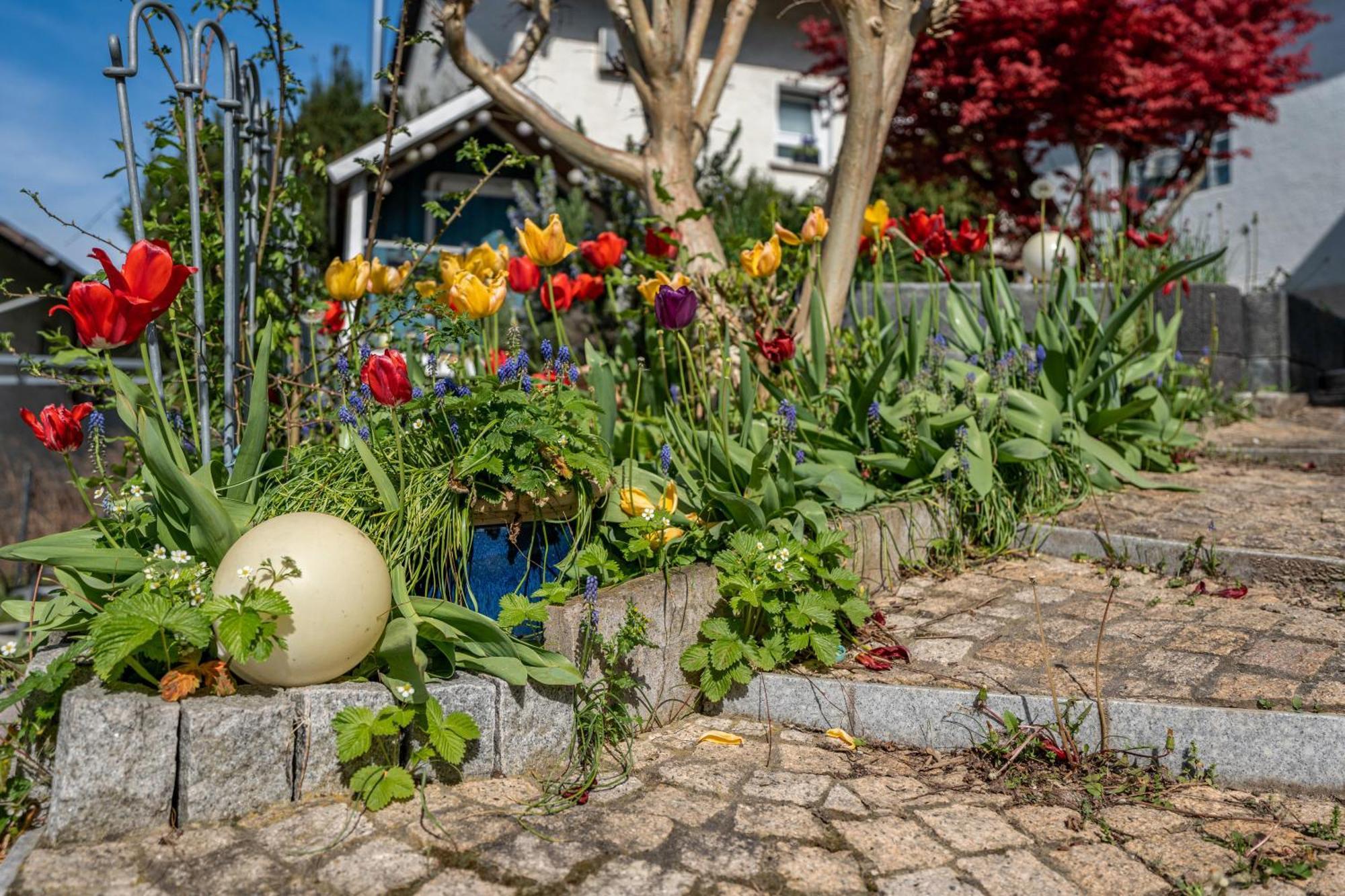 Ferienwohnung Drachenstein Weinheim Buitenkant foto